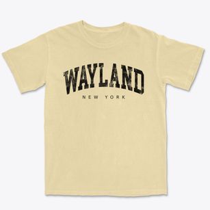 Wayland New York Urban Vibe Premium Heavyweight T-shirt