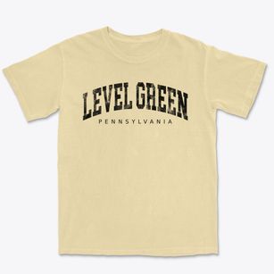 Level Green Pennsylvania Urban Vibe Premium Heavyweight T-shirt