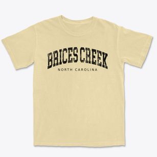 Brices Creek North Carolina Urban Vibe Premium Heavyweight T-shirt