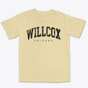 Willcox Arizona Urban Vibe Premium Heavyweight T-shirt