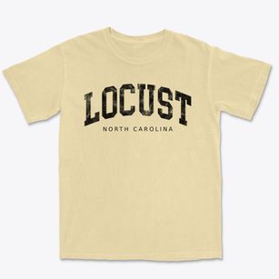 Locust North Carolina Urban Vibe Premium Heavyweight T-shirt
