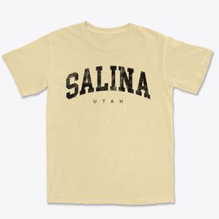 Salina Utah Urban Vibe Premium Heavyweight T-shirt