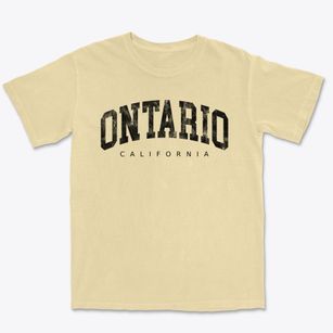 Ontario California Urban Vibe Premium Heavyweight T-shirt