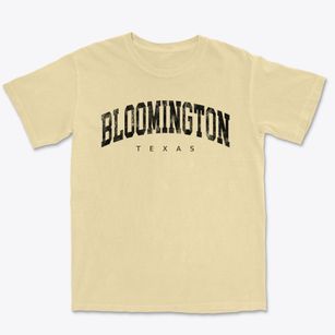 Bloomington Texas Urban Vibe Premium Heavyweight T-shirt