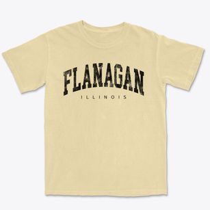 Flanagan Illinois Urban Vibe Premium Heavyweight T-shirt