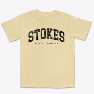 Stokes North Carolina Urban Vibe Premium Heavyweight T-shirt