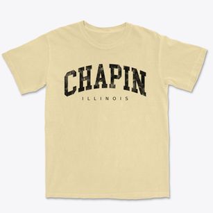 Chapin Illinois Urban Vibe Premium Heavyweight T-shirt