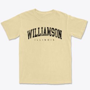 Williamson Illinois Urban Vibe Premium Heavyweight T-shirt