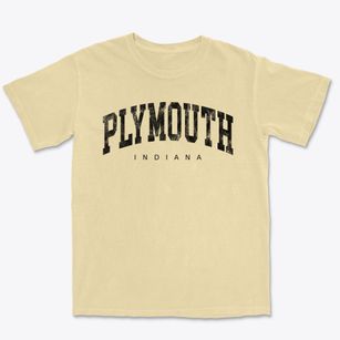 Plymouth Indiana Urban Vibe Premium Heavyweight T-shirt