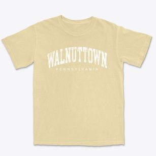Walnuttown Pennsylvania Urban Vibe Premium Heavyweight T-shirt