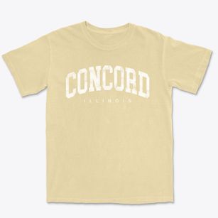 Concord Illinois Urban Vibe Premium Heavyweight T-shirt