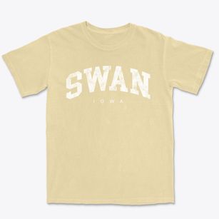 Swan Iowa Urban Vibe Premium Heavyweight T-shirt