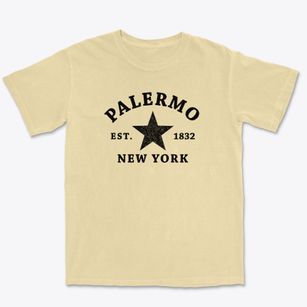 Palermo New York Star Premium Heavyweight T-shirt