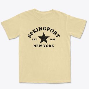 Springport New York Star Premium Heavyweight T-shirt