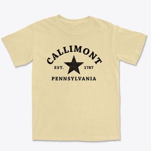 Callimont Pennsylvania Star Premium Heavyweight T-shirt