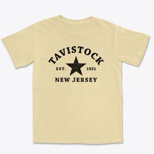 Tavistock New Jersey Star Premium Heavyweight T-shirt