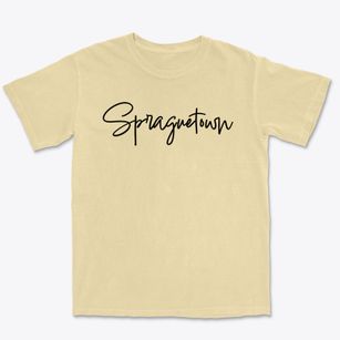 Spraguetown New York Freestyle Premium Heavyweight T-shirt