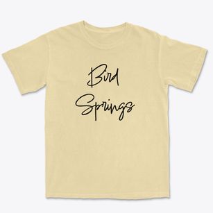Bird Springs Missouri Freestyle Premium Heavyweight T-shirt