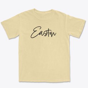 Easton Pennsylvania Freestyle Premium Heavyweight T-shirt