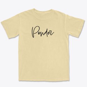 Pender North Carolina Freestyle Premium Heavyweight T-shirt