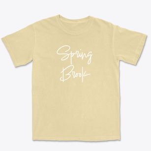 Spring Brook New York Freestyle Premium Heavyweight T-shirt