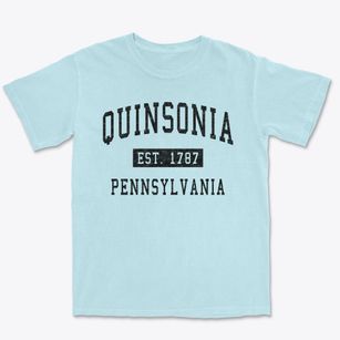 Quinsonia Pennsylvania Classic Established Premium Heavyweight T-shirt