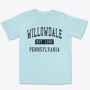 Willowdale Pennsylvania Classic Established Premium Heavyweight T-shirt