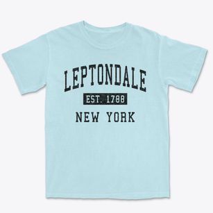 Leptondale New York Classic Established Premium Heavyweight T-shirt