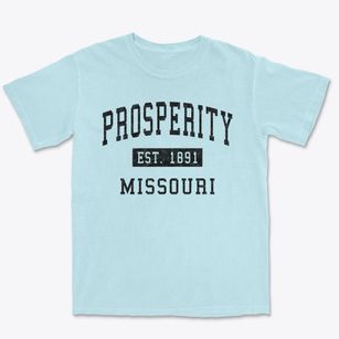 Prosperity Missouri Classic Established Premium Heavyweight T-shirt