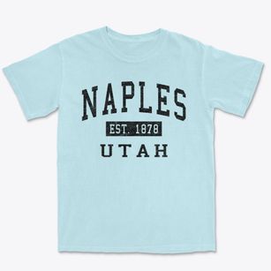 Naples Utah Classic Established Premium Heavyweight T-shirt