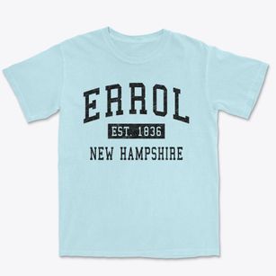 Errol New Hampshire Classic Established Premium Heavyweight T-shirt
