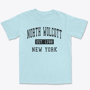 North Wolcott New York Classic Established Premium Heavyweight T-shirt