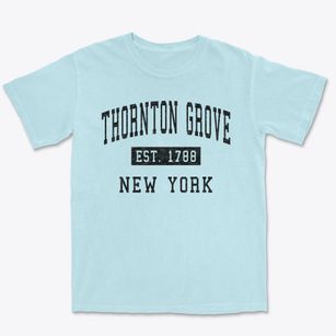 Thornton Grove New York Classic Established Premium Heavyweight T-shirt