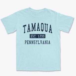 Tamaqua Pennsylvania Classic Established Premium Heavyweight T-shirt