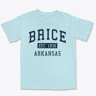 Brice Arkansas Classic Established Premium Heavyweight T-shirt