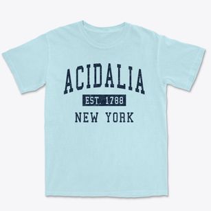 Acidalia New York Classic Established Premium Heavyweight T-shirt