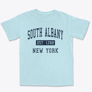 South Albany New York Classic Established Premium Heavyweight T-shirt