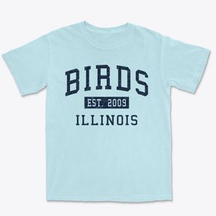 Birds Illinois Classic Established Premium Heavyweight T-shirt