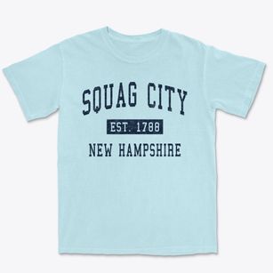 Squag City New Hampshire Classic Established Premium Heavyweight T-shirt