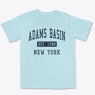 Adams Basin New York Classic Established Premium Heavyweight T-shirt