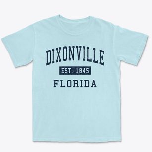 Dixonville Florida Classic Established Premium Heavyweight T-shirt