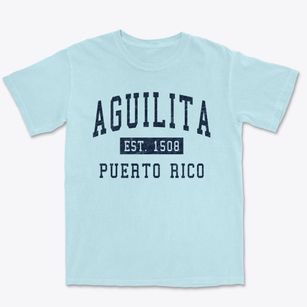 Aguilita Puerto Rico Classic Established Premium Heavyweight T-shirt