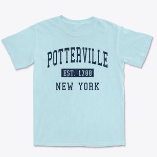 Potterville New York Classic Established Premium Heavyweight T-shirt
