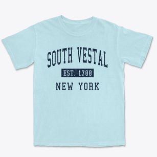 South Vestal New York Classic Established Premium Heavyweight T-shirt