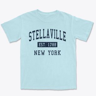 Stellaville New York Classic Established Premium Heavyweight T-shirt