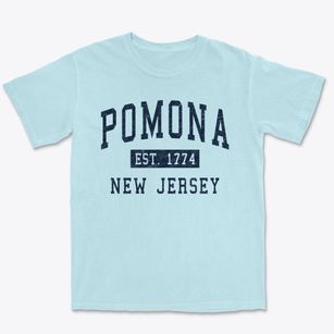 Pomona New Jersey Classic Established Premium Heavyweight T-shirt