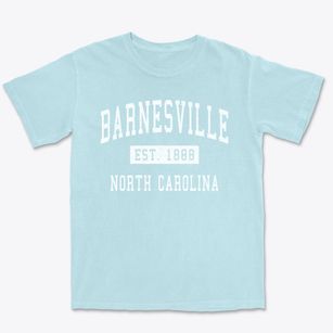 Barnesville North Carolina Classic Established Premium Heavyweight T-shirt