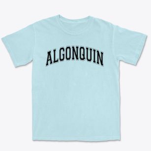 Algonquin Regional High School Varsity Arch Premium Heavyweight T-shirt
