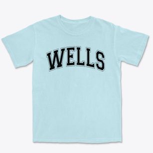 Wells Memorial Elementary School Varsity Arch Premium Heavyweight T-shirt