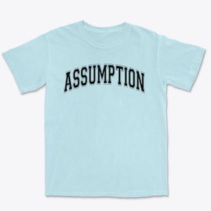 Assumption Academy Varsity Arch Premium Heavyweight T-shirt